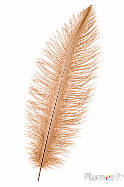 Strauss - 30-40 cm - gold